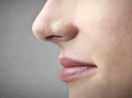 Cara Atasi Kulit Kering Di bagian Hidung